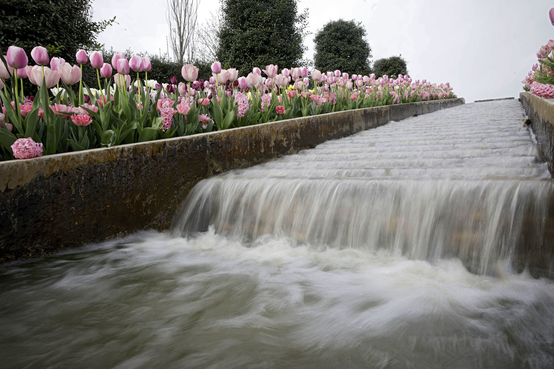 Tulsa Botanic Garden